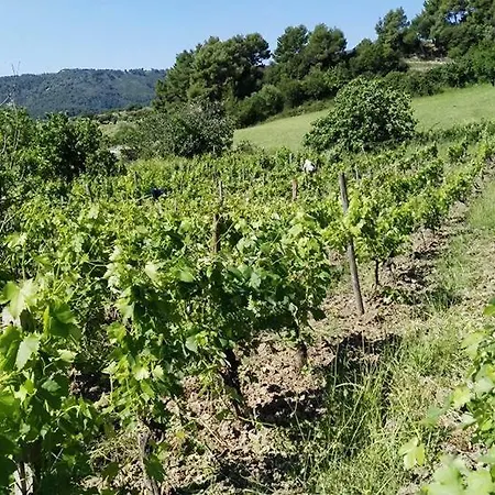 Çiftlik konaklama Agriturismo Masseria Tufaro *