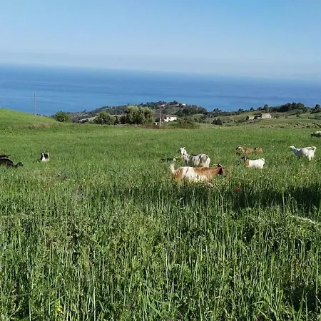 Agriturismo Masseria Tufaro Çiftlik konaklama Albidona